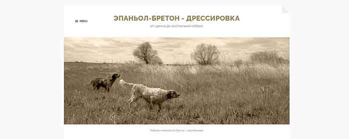 Локальное SEO кейс - дрессировка собак