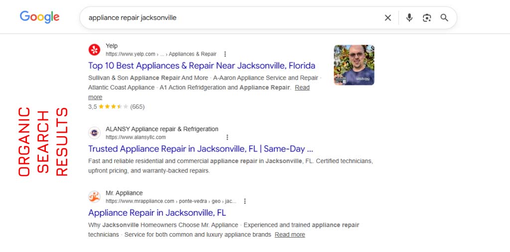 Bez-b-lidi-dlya-appliance-repair-organica Bez B Лиды для appliance repair - орагническая выдача в Jacksonville